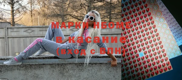 сатива Краснослободск