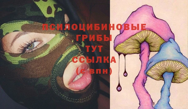 сатива Краснослободск