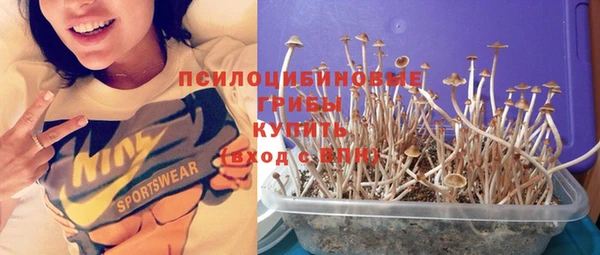 гашик Кулебаки