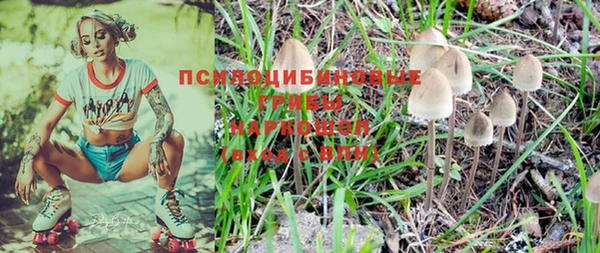 сатива Краснослободск