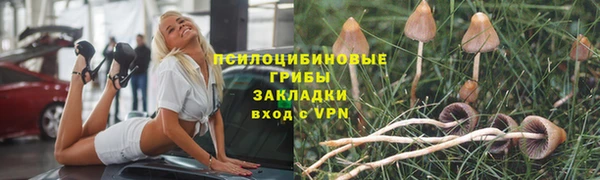 прущая мука Кукмор