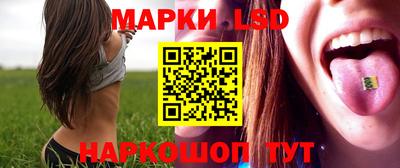 амф Кандалакша