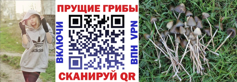 МЕГА как войти  Мелеуз  Псилоцибиновые грибы MAGIC MUSHROOMS 