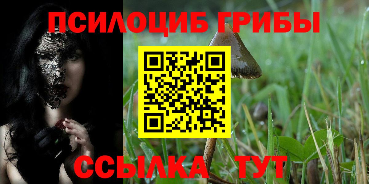 где продают наркотики  Вход с VPN  Мелеуз  Галлюциногенные грибы Psilocybe 